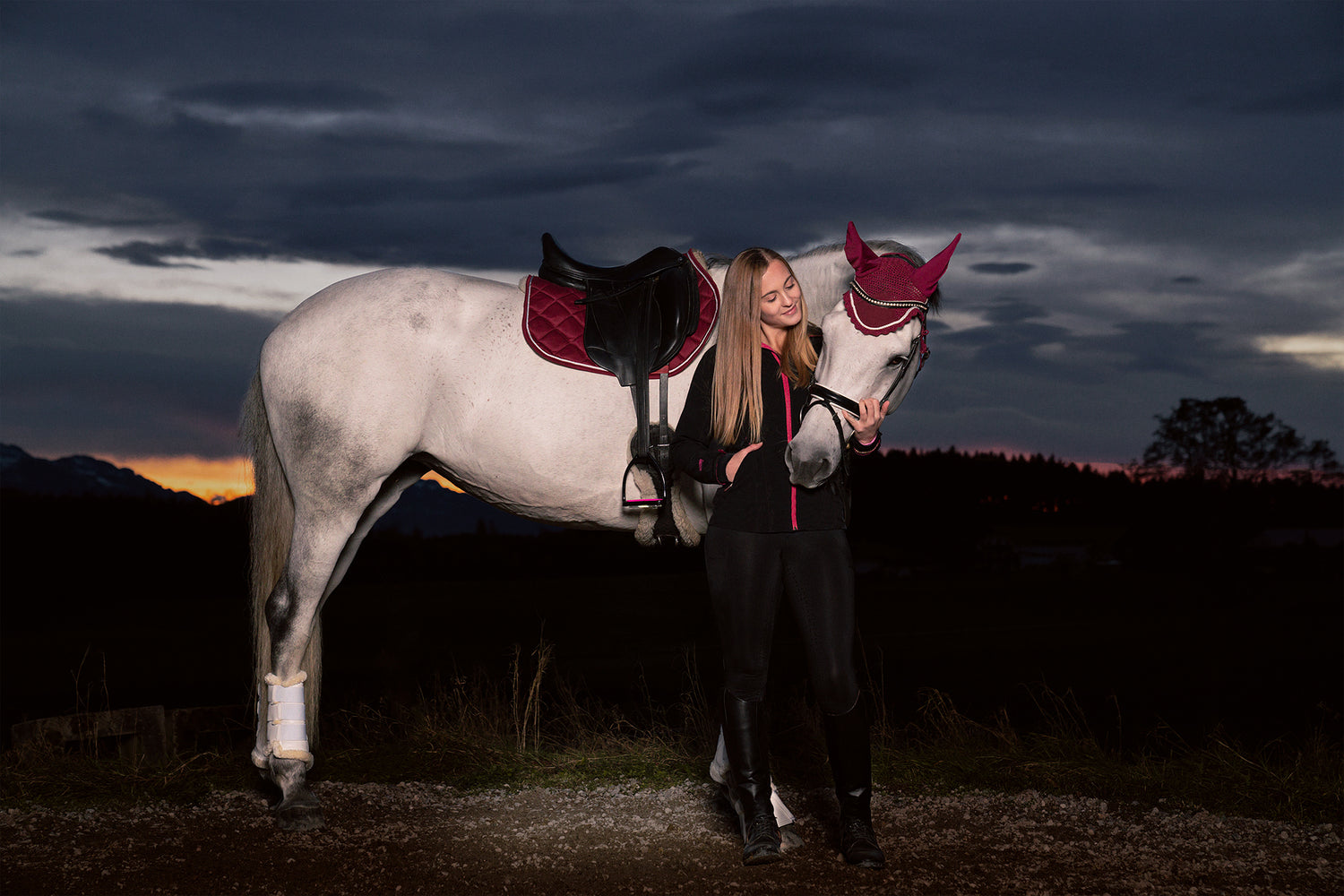 10 Tipps für Autofahrer und Reiter im Straßenverkehr