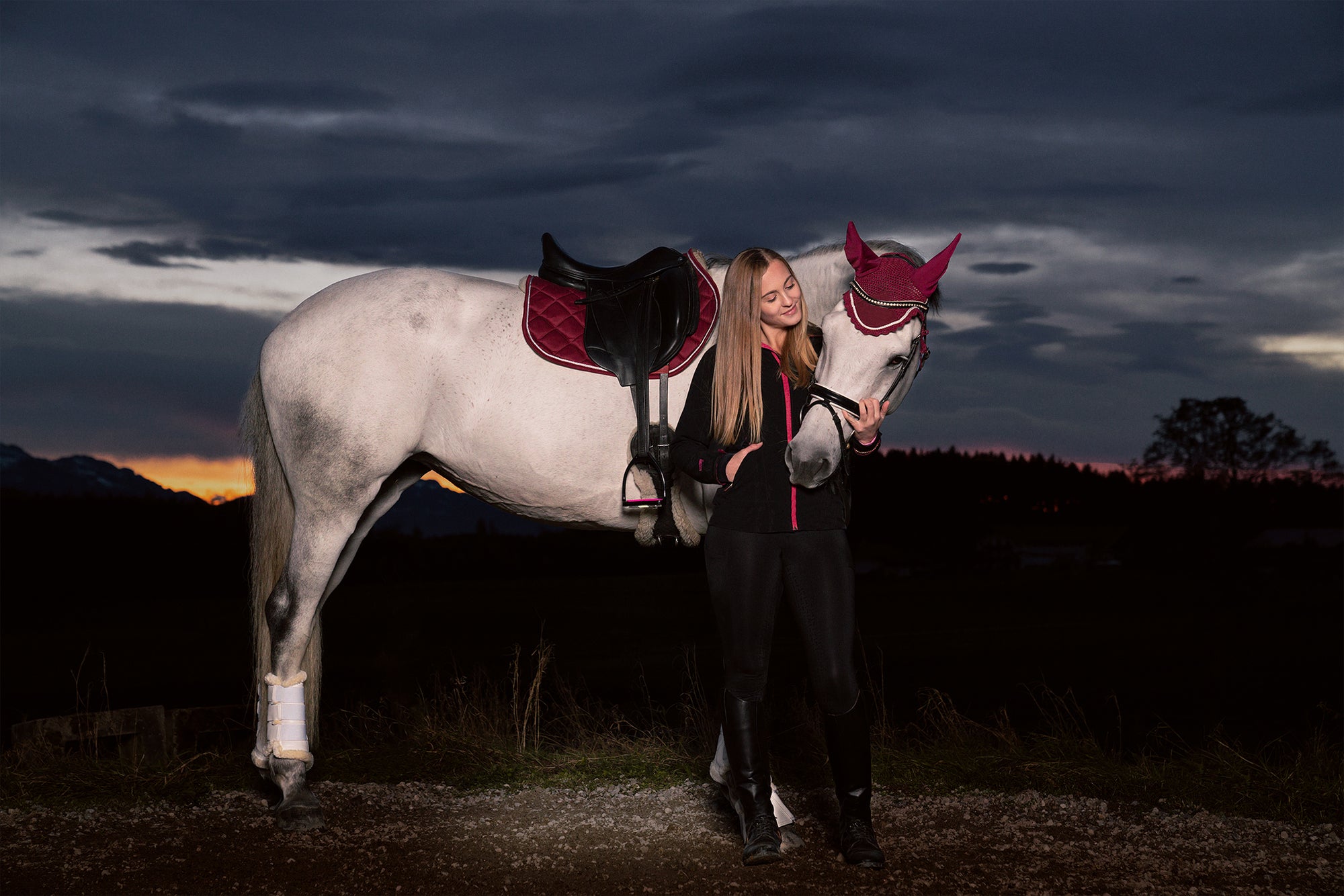 10 Tipps für Autofahrer und Reiter im Straßenverkehr