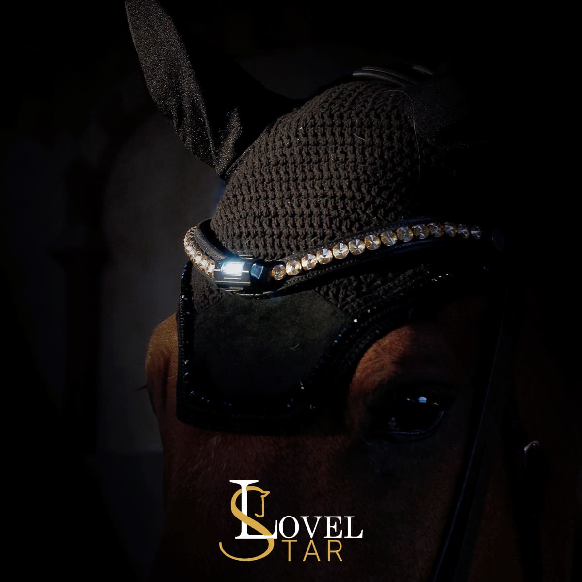 LED Spots Pferd (4x)