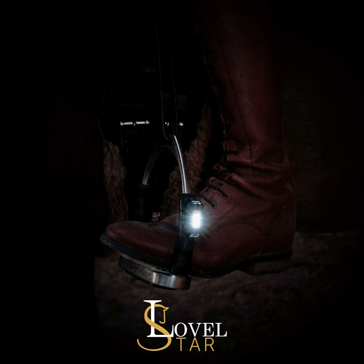 LED Spots Pferd (4x)