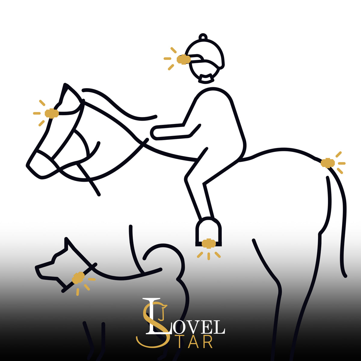 LED Spots Pferd (4x)