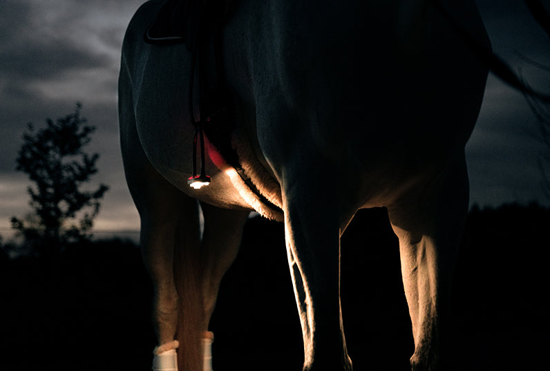 Reflexartikel oder Licht am Pferd? Was schreibt die StVO vor?